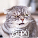超凶表情包1.0 完整版