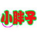 小胖子助手0120版