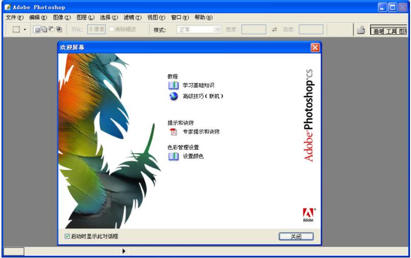 QQ截图20190411163841