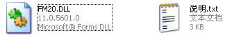 fm20.dll