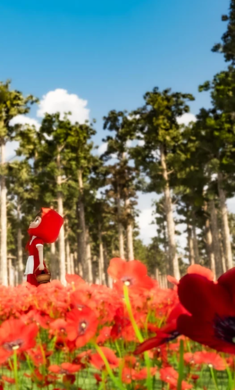 逃离游戏:小红帽无限提示版下载