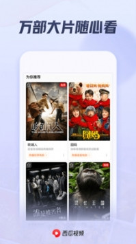 西瓜视频官方版下载