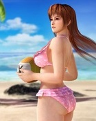 死或生沙滩排球3基本免费版v1.0