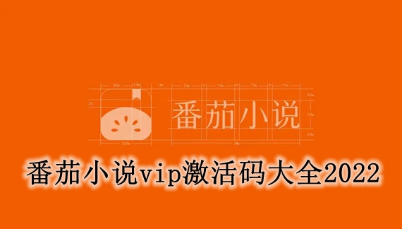 番茄小说vip激活码大全2024 番茄小说会员码分享2024
