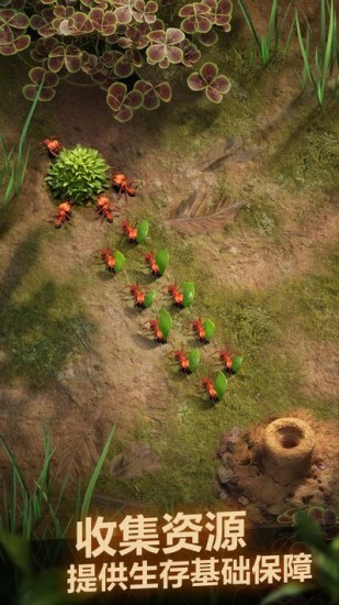 小小蚁国官服下载