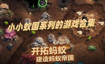 小小蟻國(guó)游戲合集