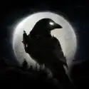 夜鸦night crows国际服最新版v1.0.28