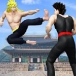 空手道之王战斗破解版v2.8.9内置菜单版