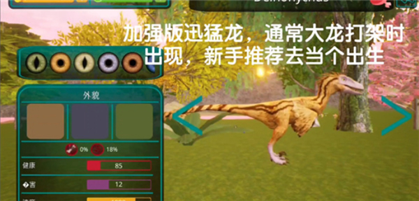 诅咒之岛